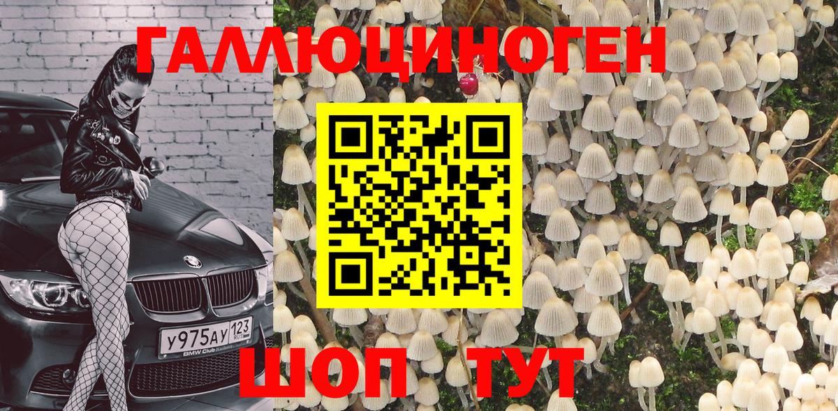 Галлюциногенные грибы Magic Shrooms  Псилоцибиновые грибы Cubensis  Вход с VPN  Кинель 